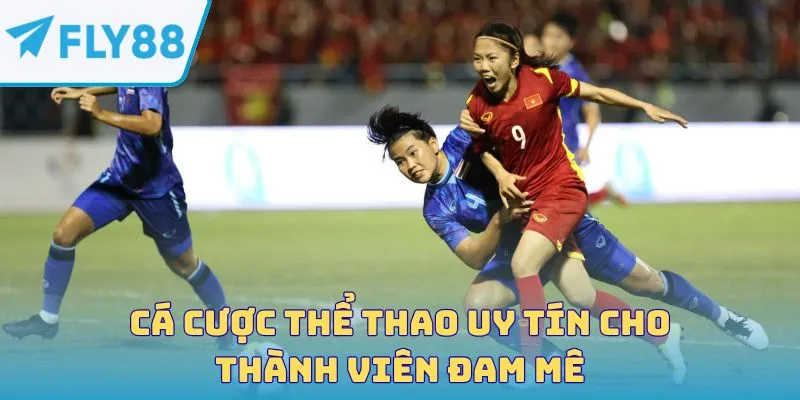 Cá cược thể thao uy tín cho thành viên đam mê