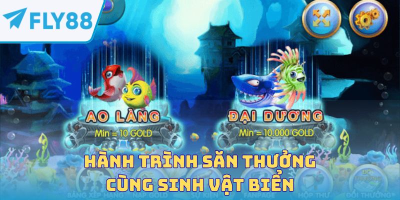 Hành trình săn thưởng cùng sinh vật biển